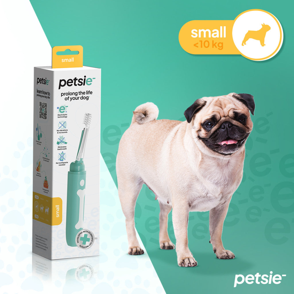 Petsie dog toothbrush (size S -10kg)