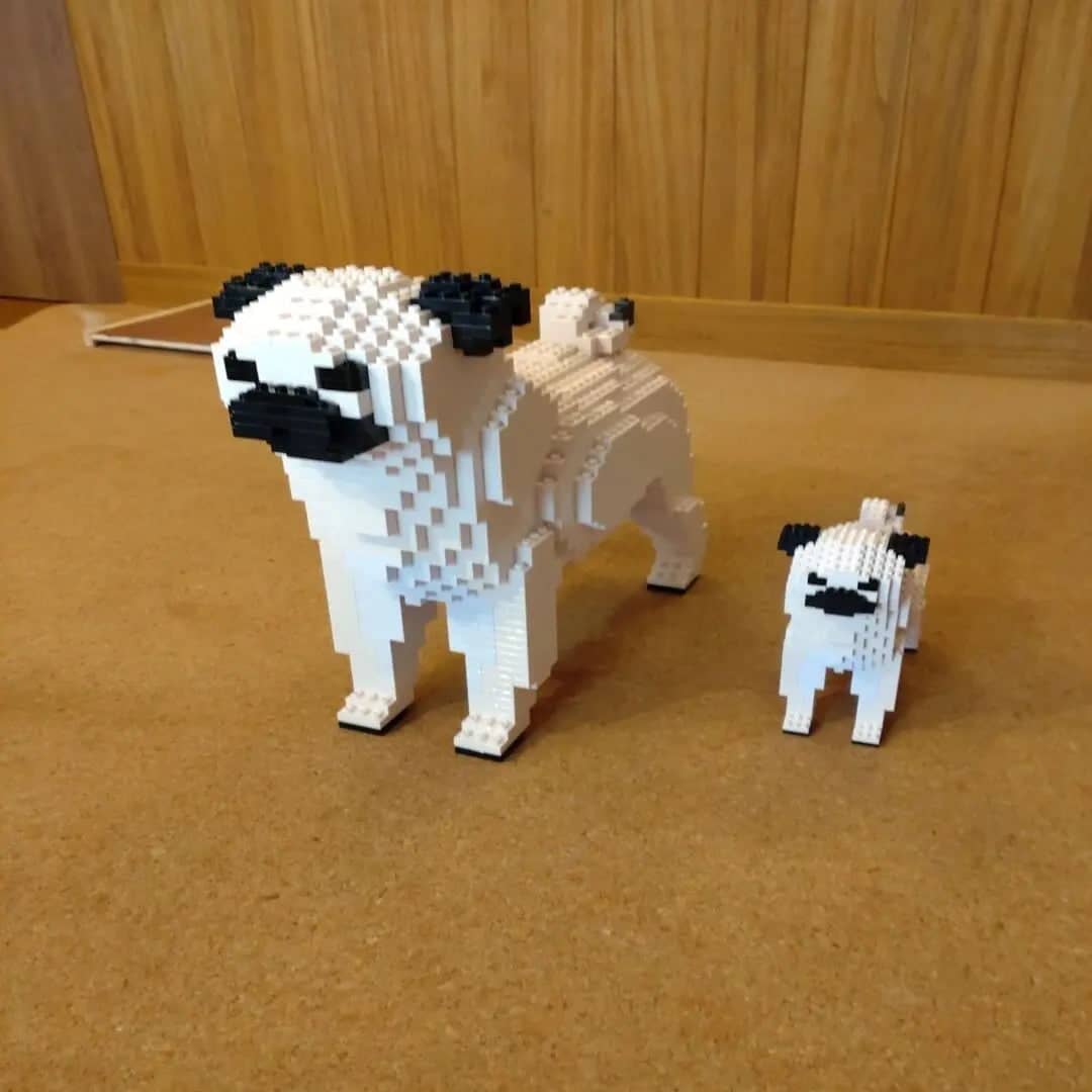 Pug Bricks