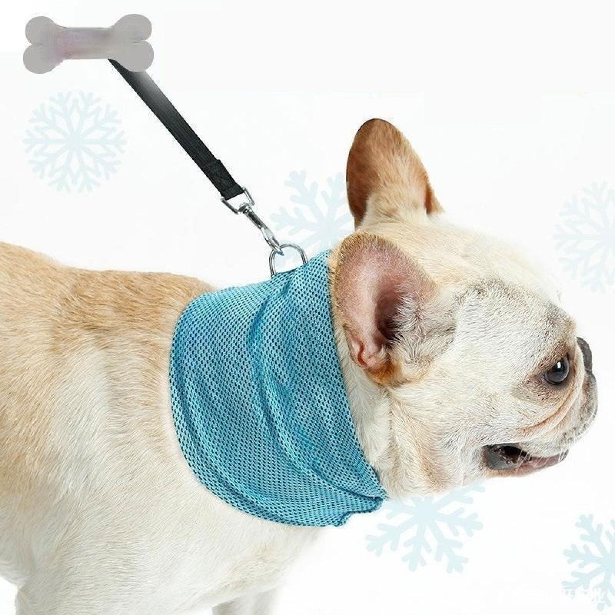 ❄️ Pug ChillWrap™ – Instant Cooling Bandana for Pugs