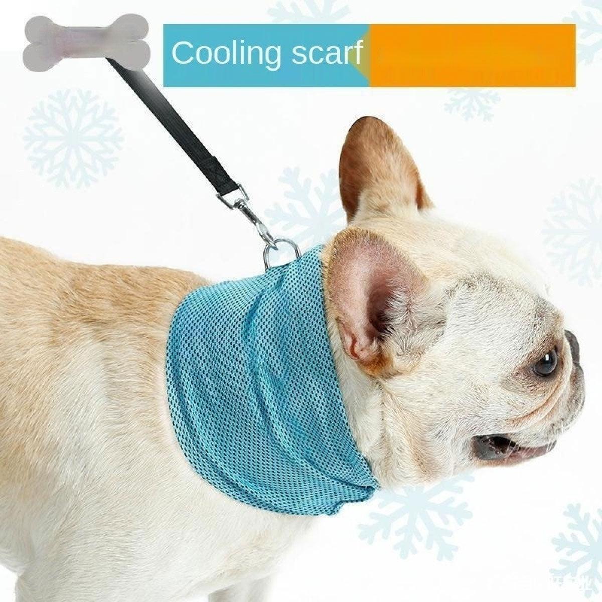 ❄️ Pug ChillWrap™ – Instant Cooling Bandana for Pugs