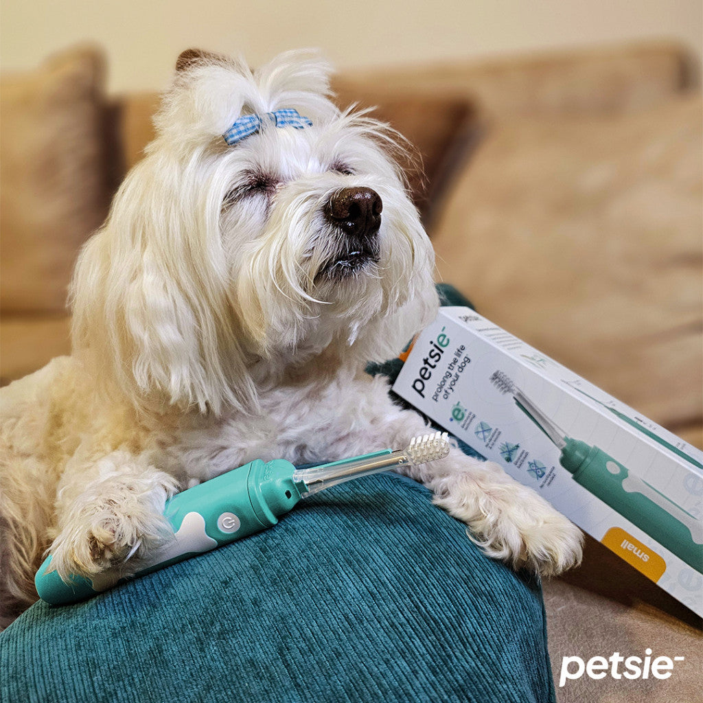 Petsie dog toothbrush (size S -10kg)