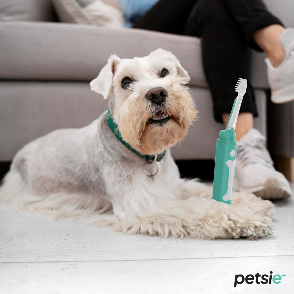 Petsie dog toothbrush (size S -10kg)